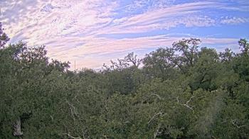 Weather camera view of Metairie Club Gardens.