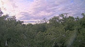 Weather camera view of Metairie Club Gardens.