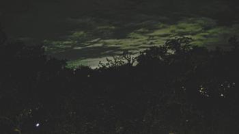 Weather camera view of Metairie Club Gardens.