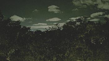 Weather camera view of Metairie Club Gardens.