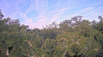 Weather camera view of Metairie Club Gardens.