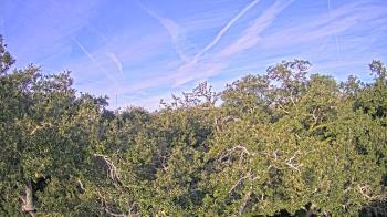 Weather camera view of Metairie Club Gardens.