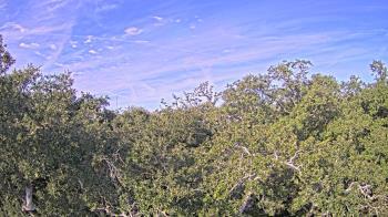 Weather camera view of Metairie Club Gardens.