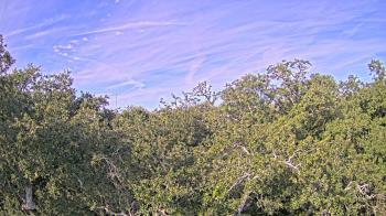 Weather camera view of Metairie Club Gardens.