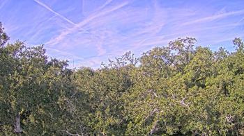 Weather camera view of Metairie Club Gardens.