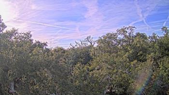 Weather camera view of Metairie Club Gardens.