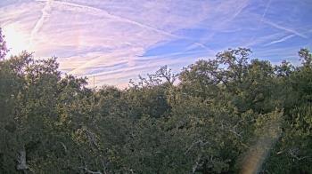 Weather camera view of Metairie Club Gardens.