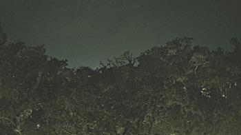 Weather camera view of Metairie Club Gardens.