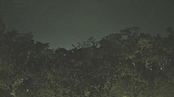 Weather camera view of Metairie Club Gardens.