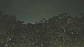 Weather camera view of Metairie Club Gardens.