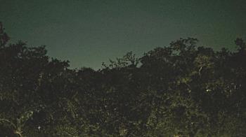 Weather camera view of Metairie Club Gardens.