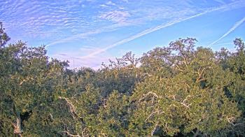 Weather camera view of Metairie Club Gardens.