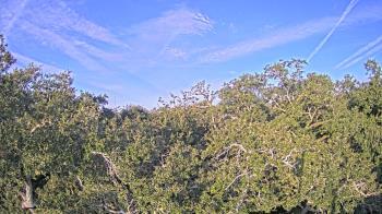 Weather camera view of Metairie Club Gardens.