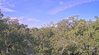Weather camera view of Metairie Club Gardens.