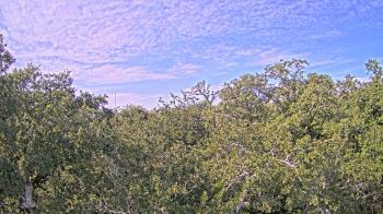 Weather camera view of Metairie Club Gardens.