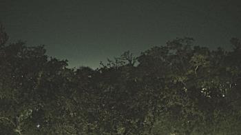 Weather camera view of Metairie Club Gardens.