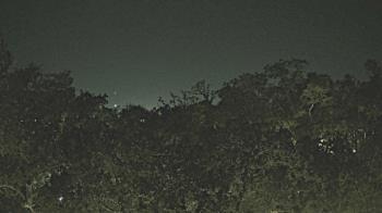 Weather camera view of Metairie Club Gardens.