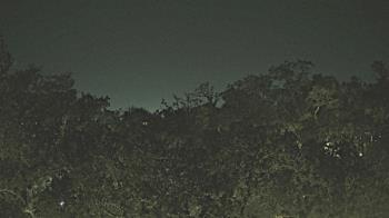 Weather camera view of Metairie Club Gardens.