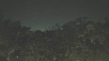 Weather camera view of Metairie Club Gardens.