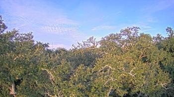 Weather camera view of Metairie Club Gardens.