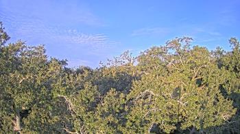 Weather camera view of Metairie Club Gardens.