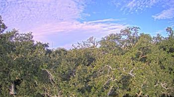 Weather camera view of Metairie Club Gardens.