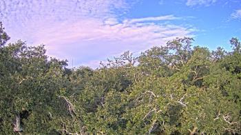 Weather camera view of Metairie Club Gardens.