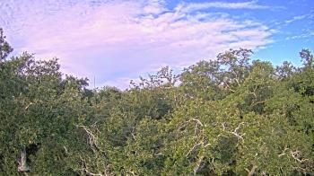 Weather camera view of Metairie Club Gardens.