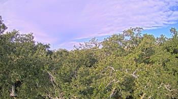 Weather camera view of Metairie Club Gardens.