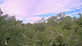 Weather camera view of Metairie Club Gardens.