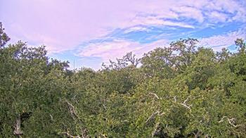 Weather camera view of Metairie Club Gardens.