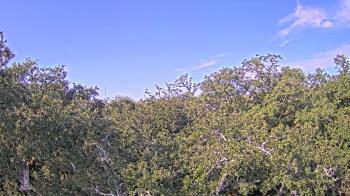 Weather camera view of Metairie Club Gardens.