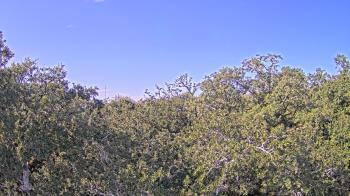 Weather camera view of Metairie Club Gardens.