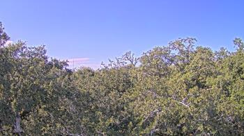 Weather camera view of Metairie Club Gardens.