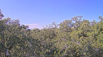 Weather camera view of Metairie Club Gardens.