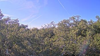 Weather camera view of Metairie Club Gardens.