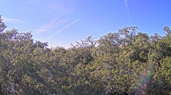 Weather camera view of Metairie Club Gardens.