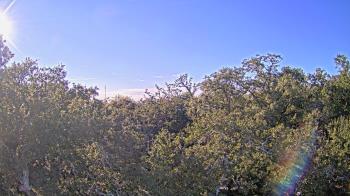 Weather camera view of Metairie Club Gardens.