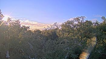 Weather camera view of Metairie Club Gardens.