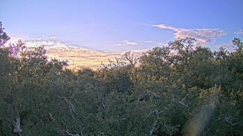 Weather camera view of Metairie Club Gardens.