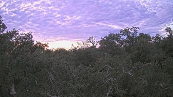 Weather camera view of Metairie Club Gardens.