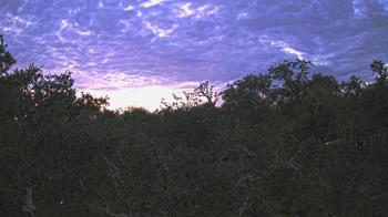 Weather camera view of Metairie Club Gardens.