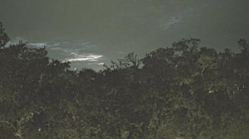 Weather camera view of Metairie Club Gardens.