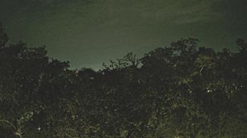 Weather camera view of Metairie Club Gardens.