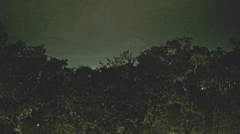 Weather camera view of Metairie Club Gardens.