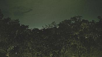 Weather camera view of Metairie Club Gardens.