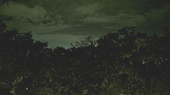 Weather camera view of Metairie Club Gardens.