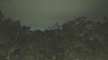 Weather camera view of Metairie Club Gardens.