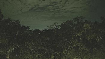 Weather camera view of Metairie Club Gardens.