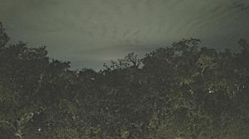 Weather camera view of Metairie Club Gardens.